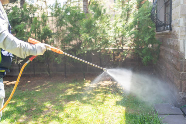 Professional Pest Control in Bayonne, NJ