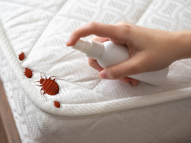 Best Pest Removal Services  in Bayonne, NJ